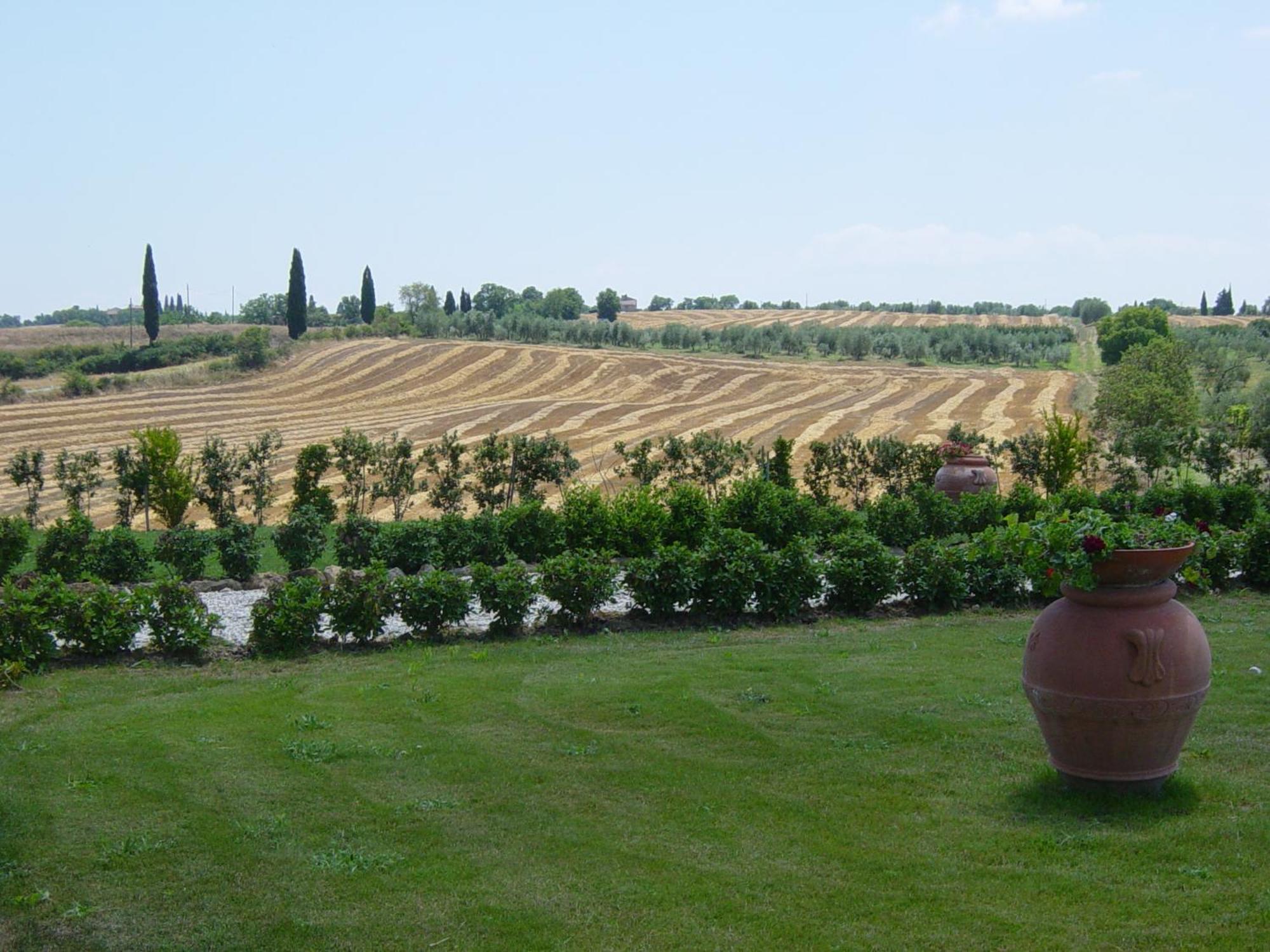 Agriturismo Il Macchione Pienza Kültér fotó