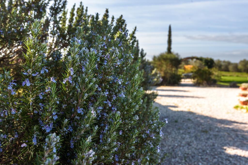 Agriturismo Il Macchione Pienza Kültér fotó